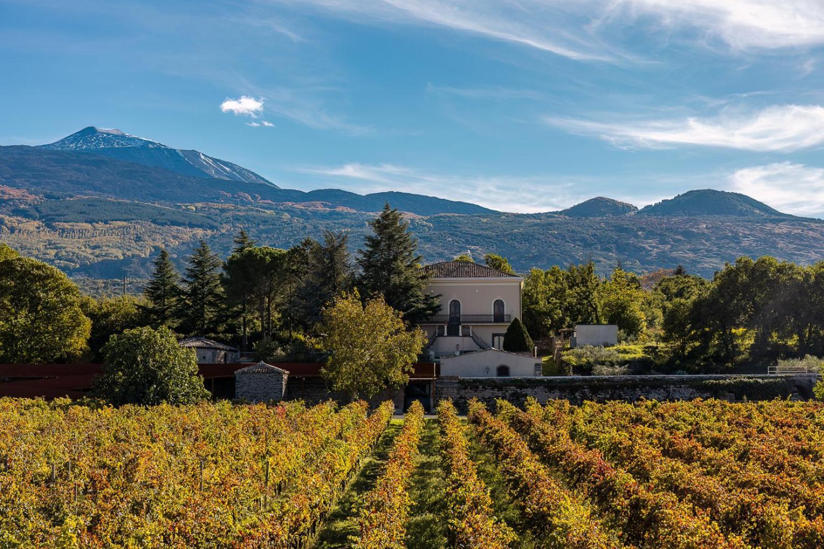 Campore Etna Wines And Resort Randazzo Esterno foto